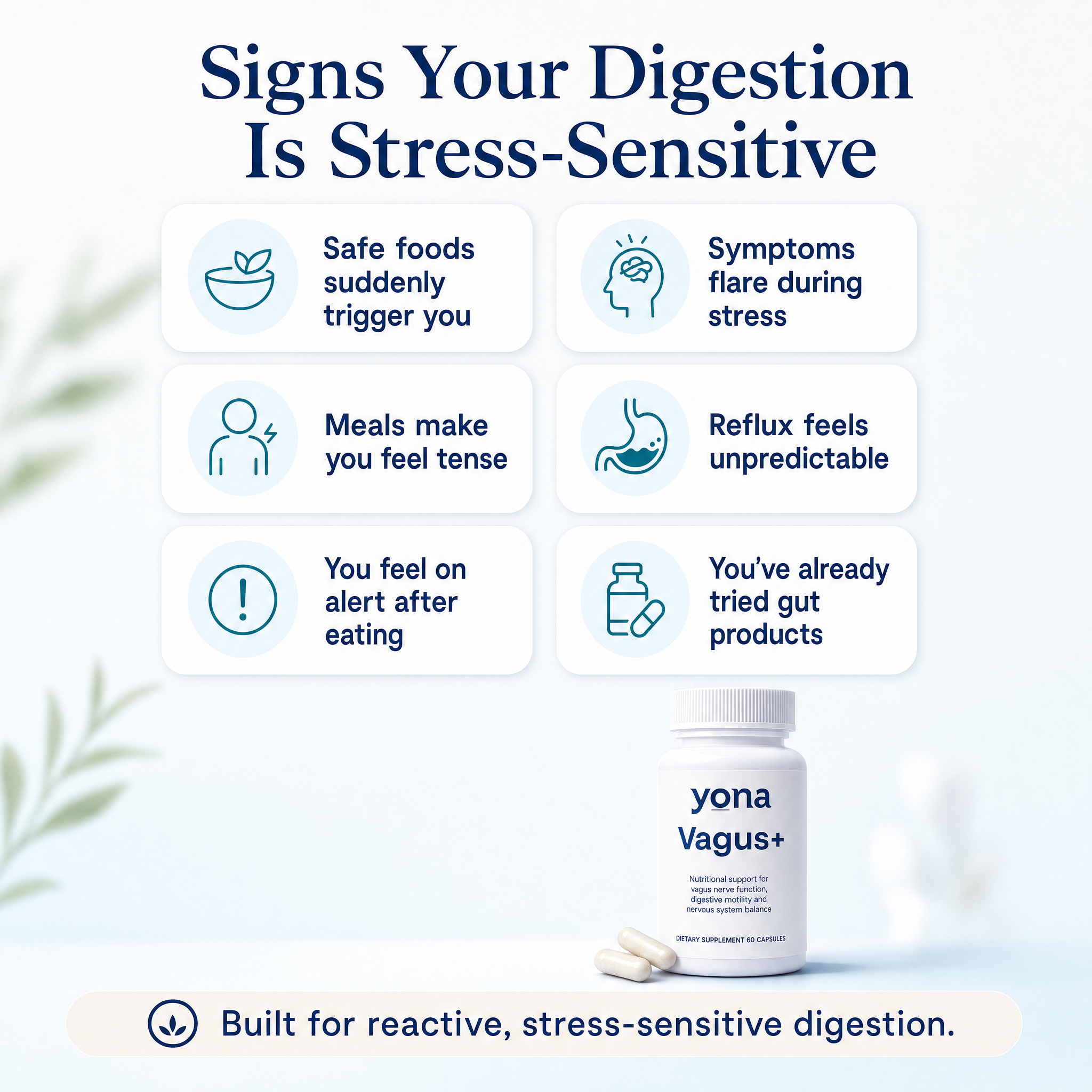 Vagus+ | Calm Gut-Brain Ritual