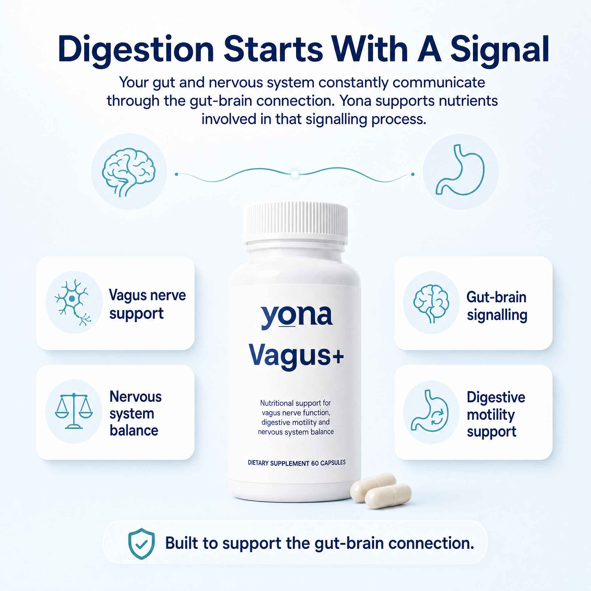 Vagus+ | Calm Gut-Brain Ritual
