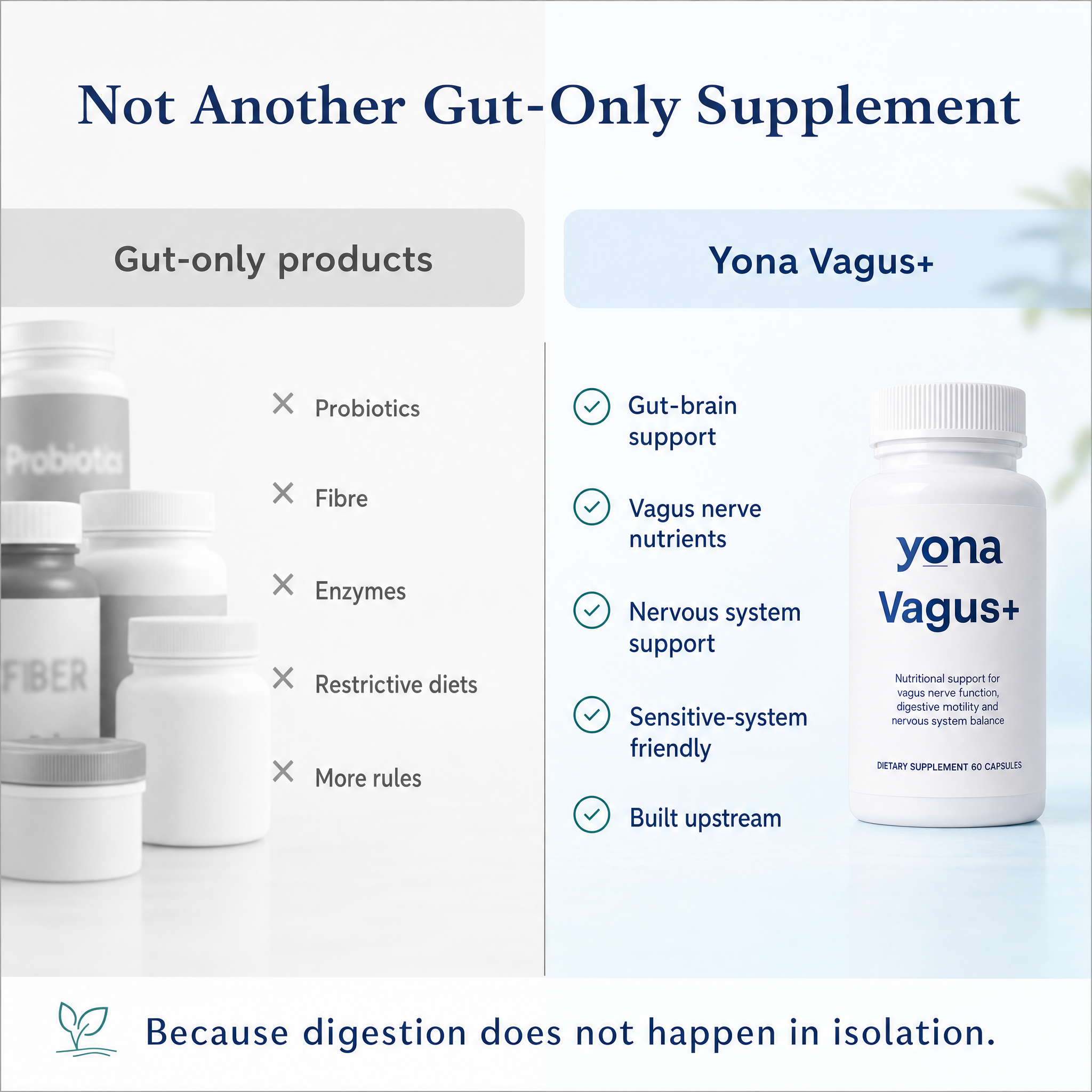 Vagus+ | Calm Gut-Brain Ritual