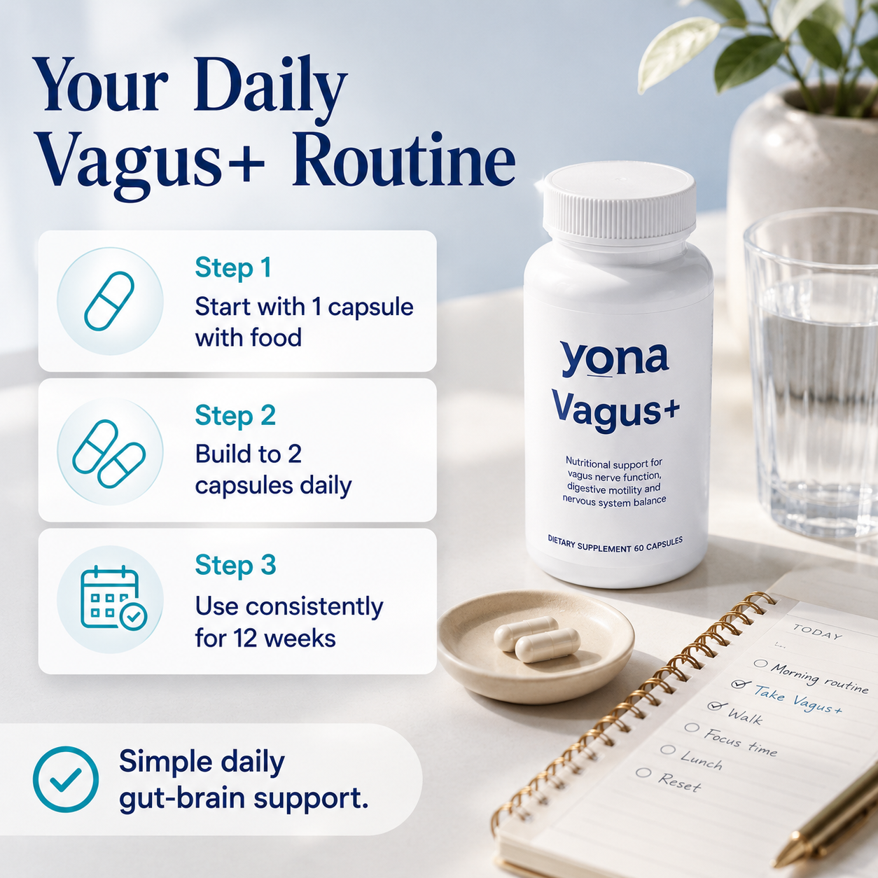 Vagus+ | Calm Gut-Brain Ritual