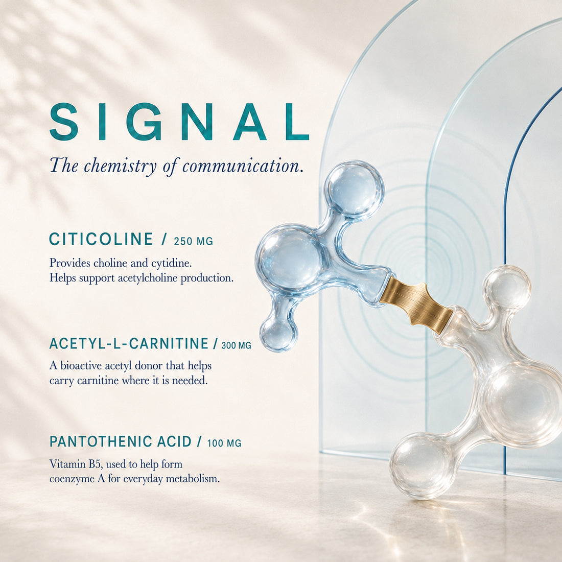 Vagus One. A Daily Vagus Nutraceutical Yona