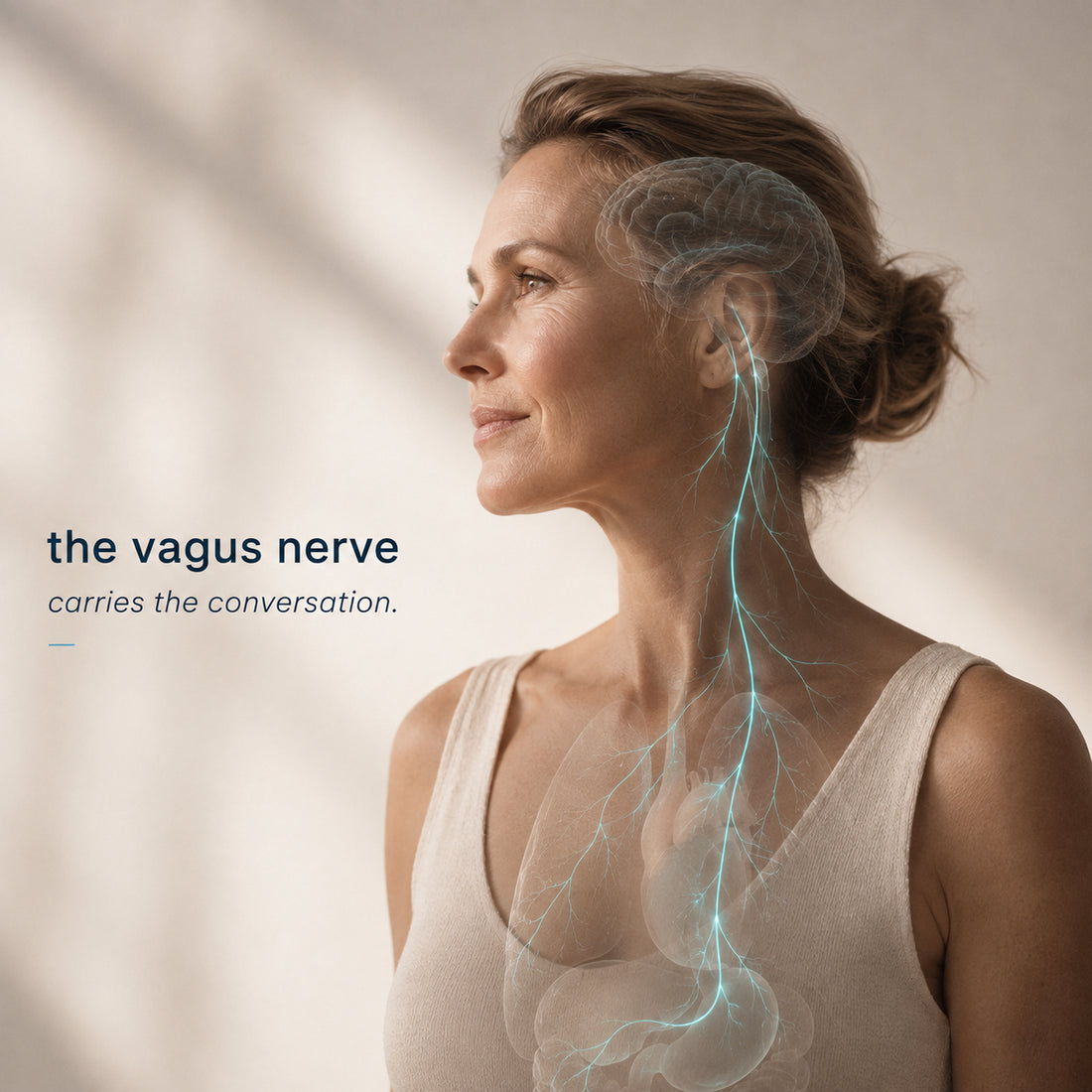 Vagus One. A Daily Vagus Nutraceutical Yona