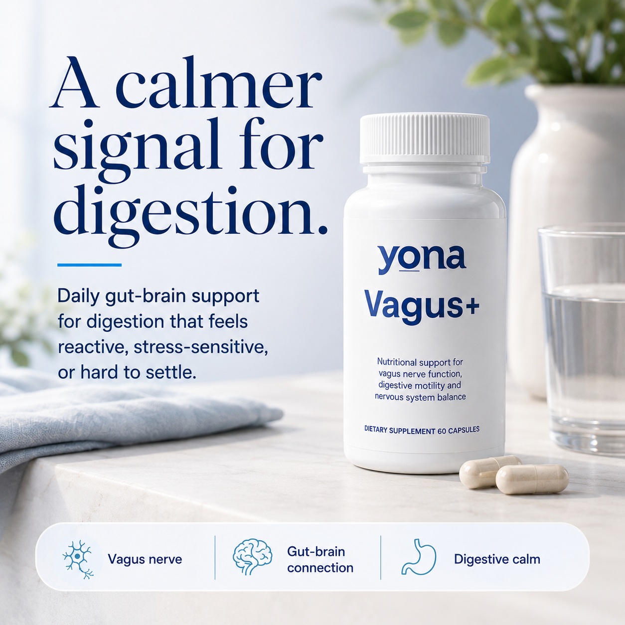 A Calmer Gut in 12 Weeks