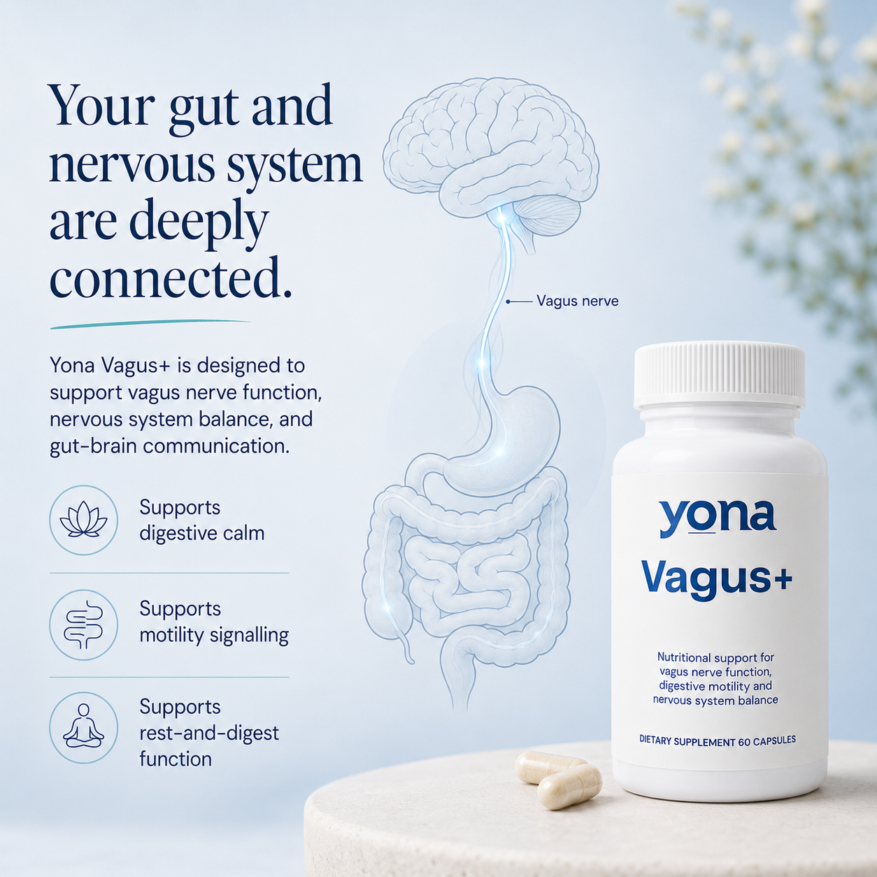 Yona Vagus+ Nervous System and Gut Support